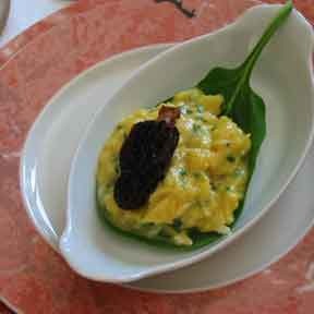 brouillade aux morilles