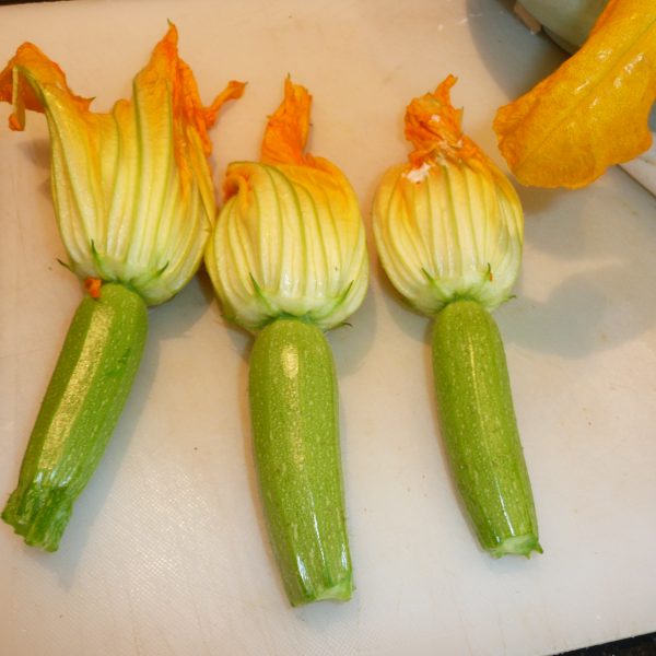 courgette fleur