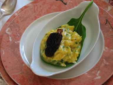 brouillade aux morilles